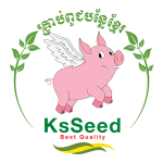 KS Seed Logo