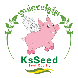 KS Seed Logo